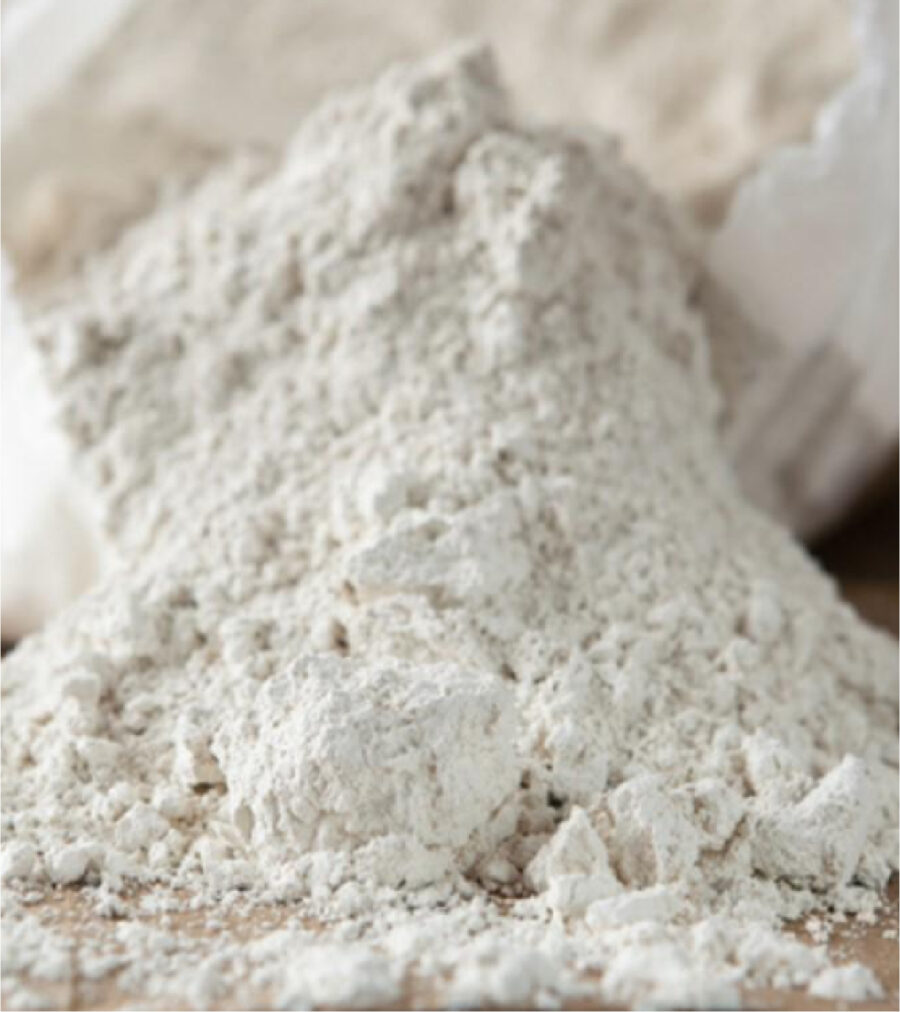 Diatomaceous Earth - Image 1